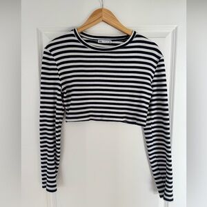 Zara Navy and White Striped Crop Top